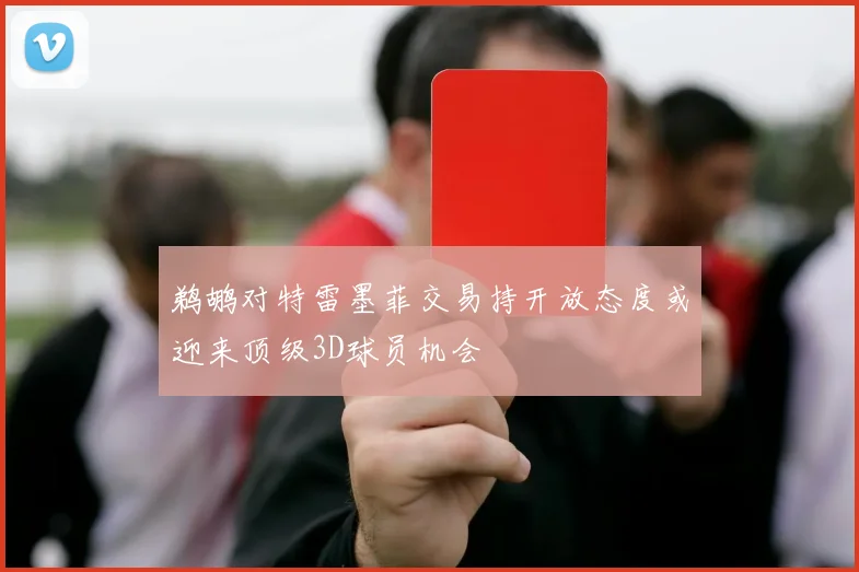鹈鹕对特雷墨菲交易持开放态度或迎来顶级3D球员机会